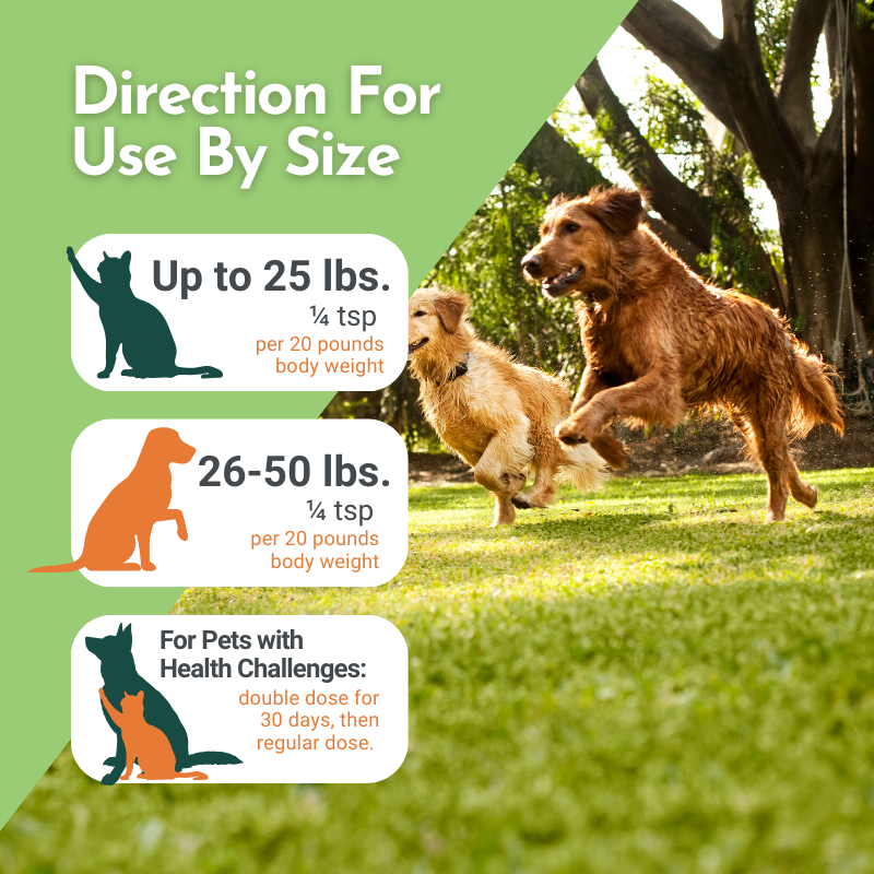 Holistic Total Body Support – Multivitamin & Glandular Support for Dogs and Cats