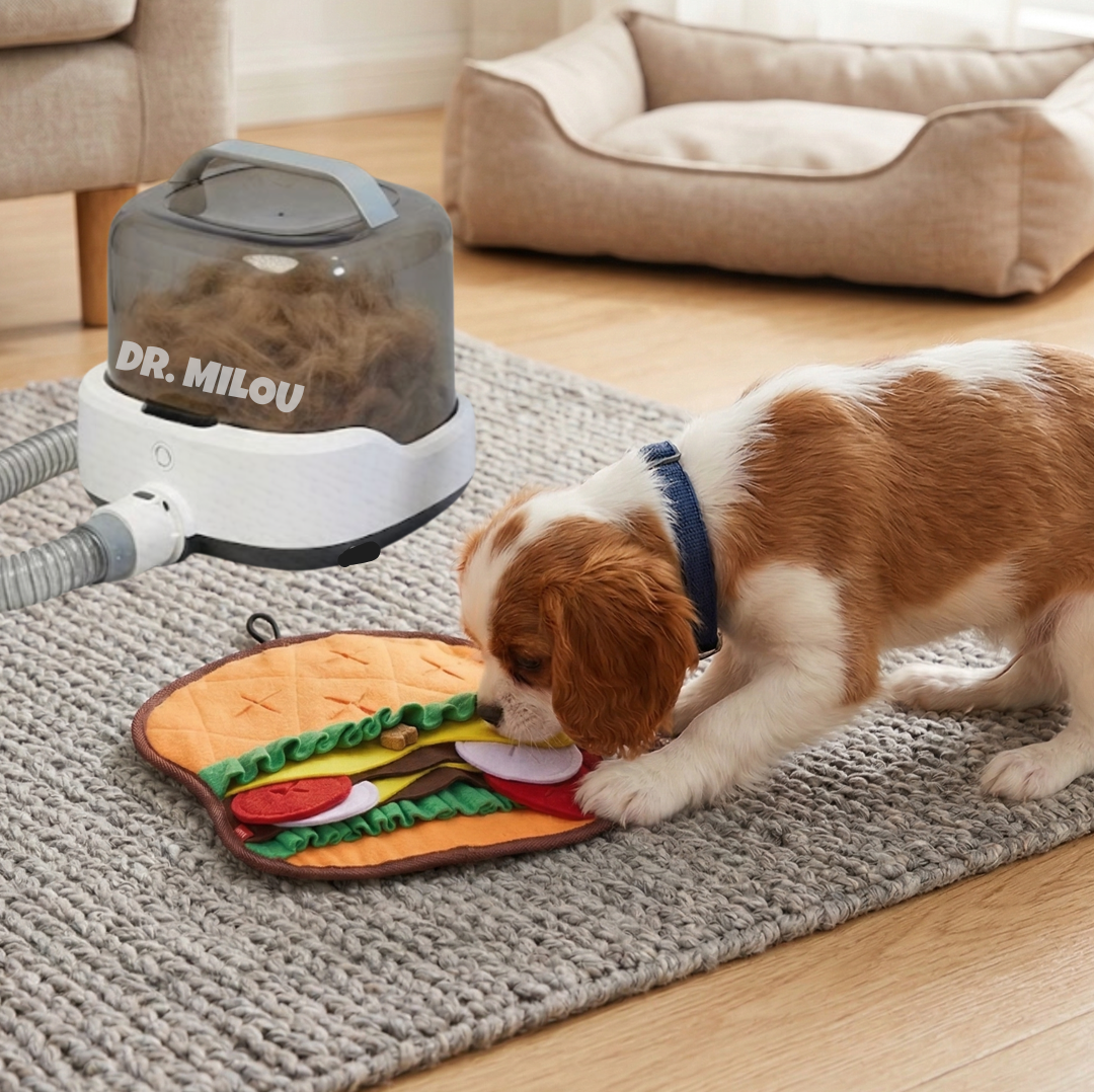 CalmCare™ Cordless Vacuum Pet Grooming Kit – Mess-Free at Home