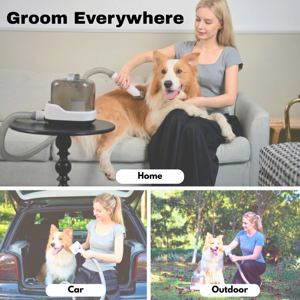 CalmCare™ Cordless Vacuum Pet Grooming Kit – Mess-Free at Home