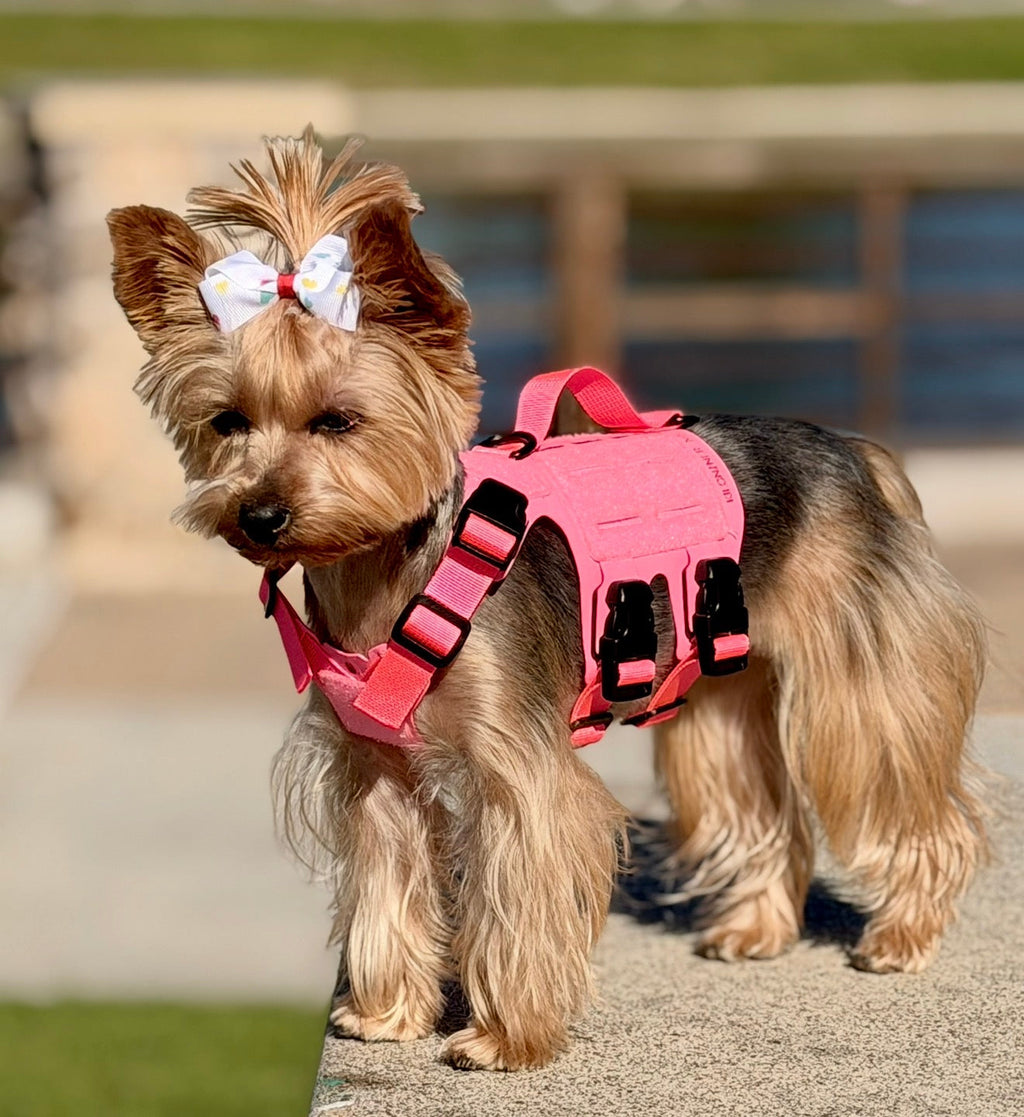 K9R M5 MOLLE Tactical Light Vest for Dogs