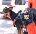K9R M5 MOLLE Tactical Light Vest for Dogs