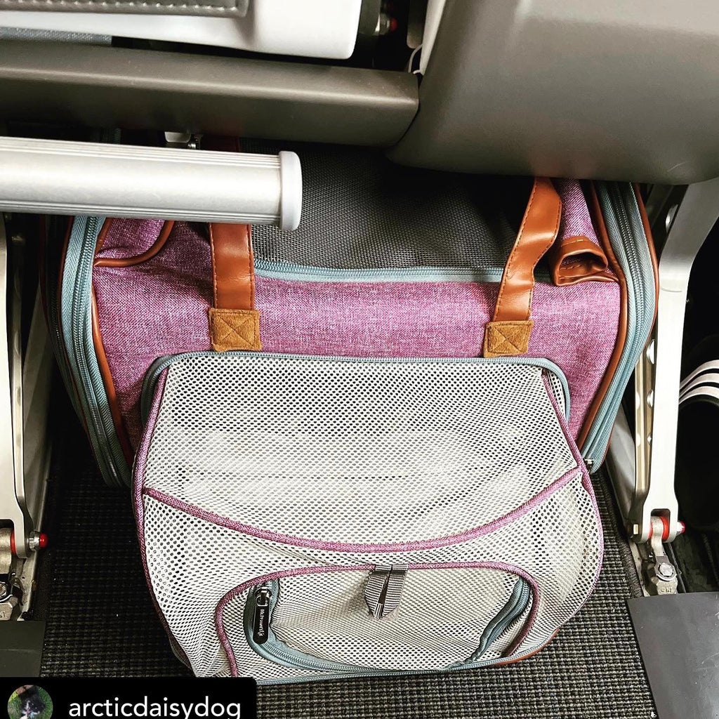 Mr. Peanut's XL Expandable Airline-Approved Pet Carrier