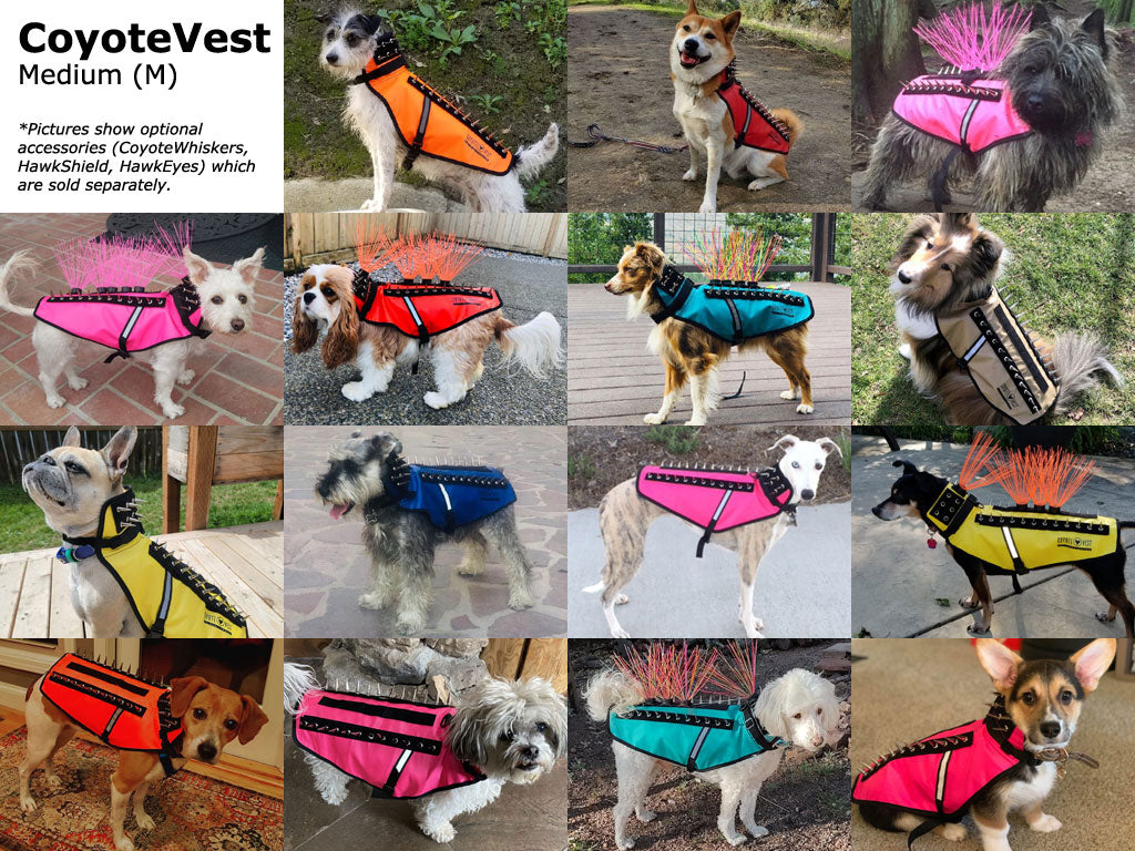 CoyoteVest – Protective Safety Vest for Small Dogs