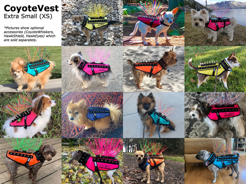 CoyoteVest – Protective Safety Vest for Small Dogs