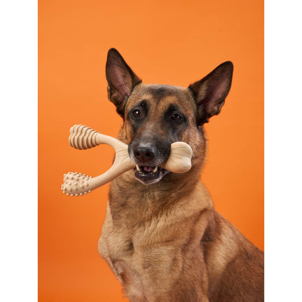 BetterBone Durable Dog Chew Toy — Natural & Eco-Friendly - MJ Trends