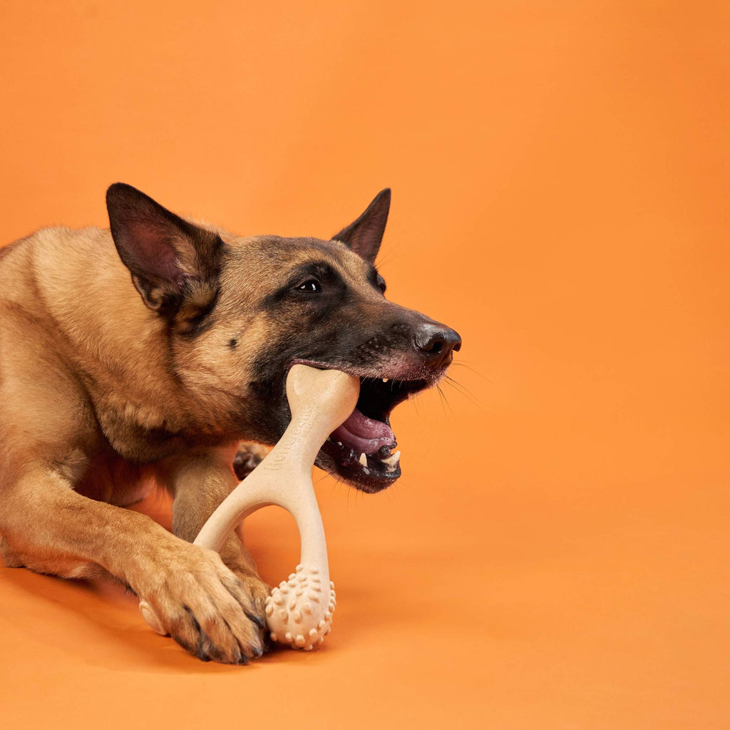 BetterBone Durable Dog Chew Toy — Natural & Eco-Friendly - MJ Trends