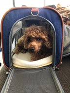 Mr. Peanut's XL Expandable Airline-Approved Pet Carrier