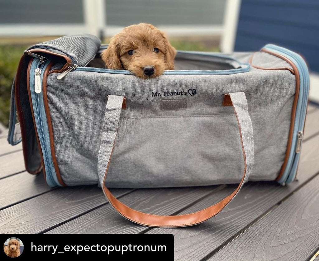 Mr. Peanut's XL Expandable Airline-Approved Pet Carrier