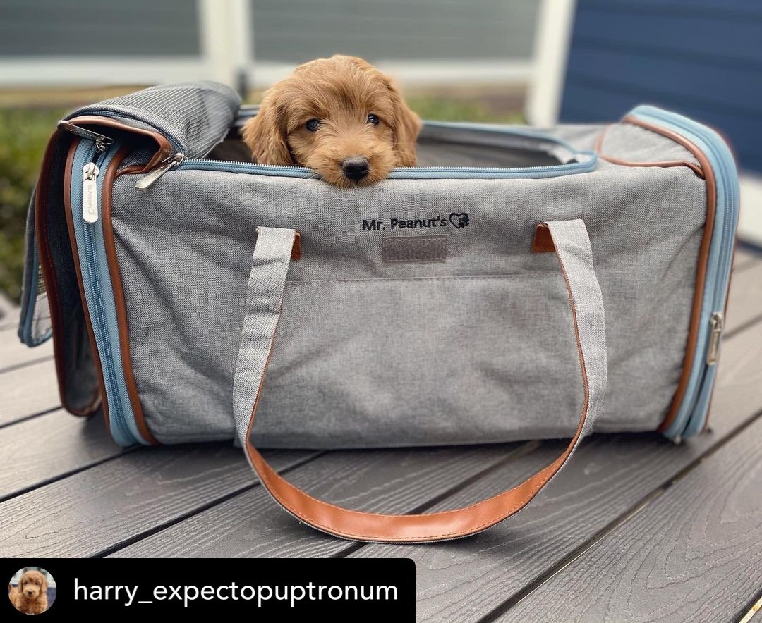 Mr. Peanut's XL Expandable Airline-Approved Pet Carrier