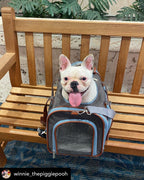 Mr. Peanut's XL Expandable Airline-Approved Pet Carrier