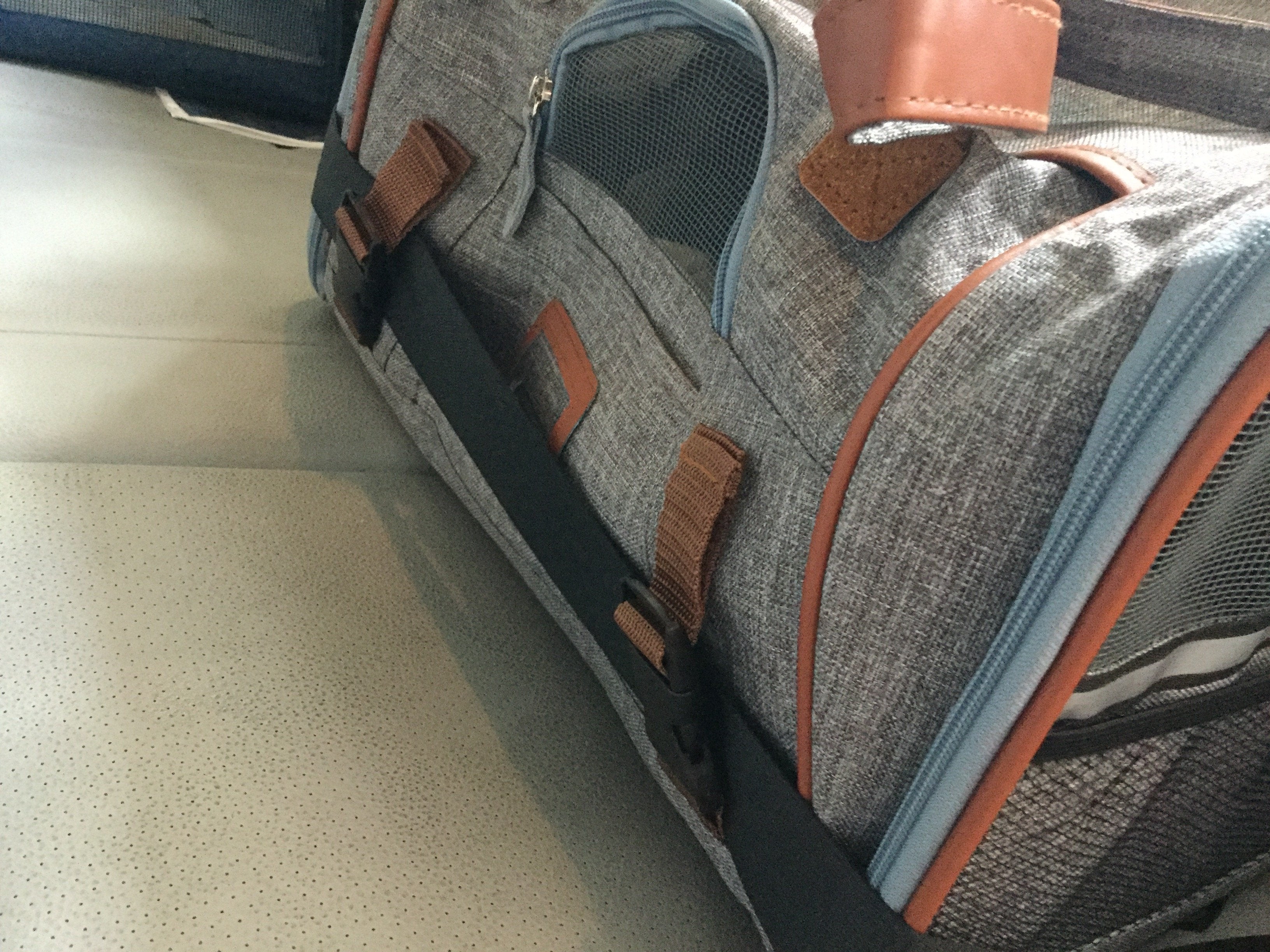 Mr. Peanut's XL Expandable Airline-Approved Pet Carrier