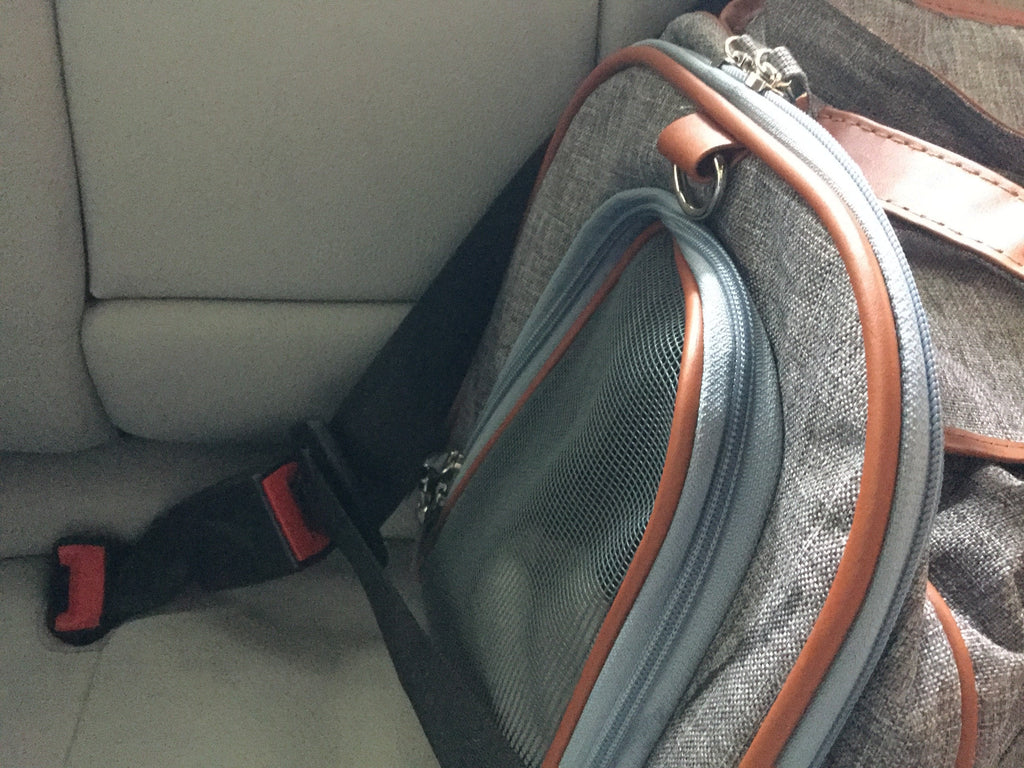 Mr. Peanut's XL Expandable Airline-Approved Pet Carrier