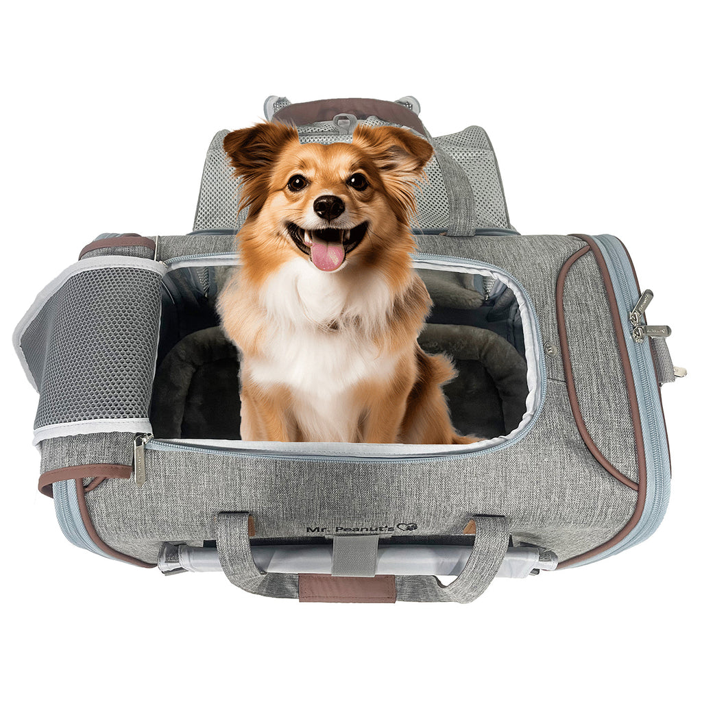 Mr. Peanut's Airline-Approved Expandable Pet Carrier