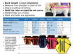 CoyoteVest – Protective Safety Vest for Small Dogs