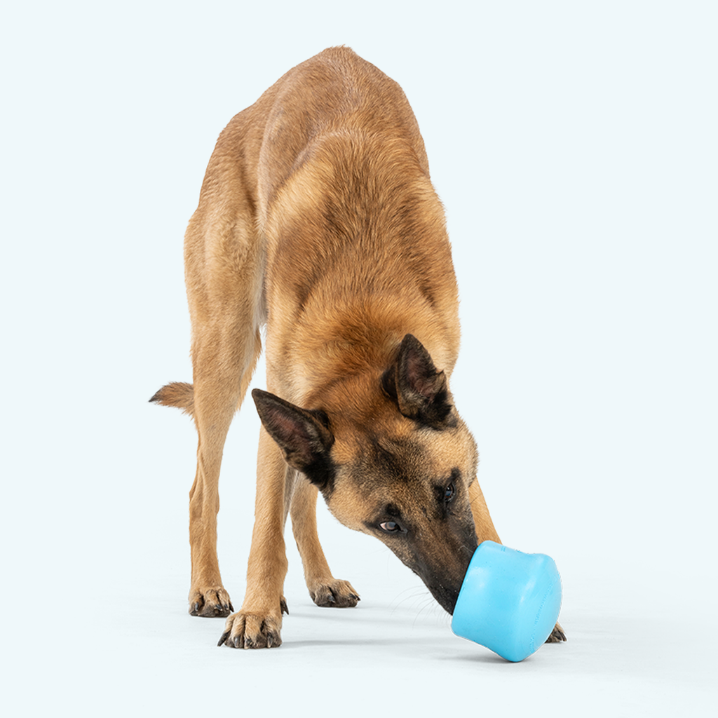 Toppl Interactive Treat Dispensing Dog Toy