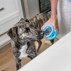 Toppl Interactive Treat Dispensing Dog Toy