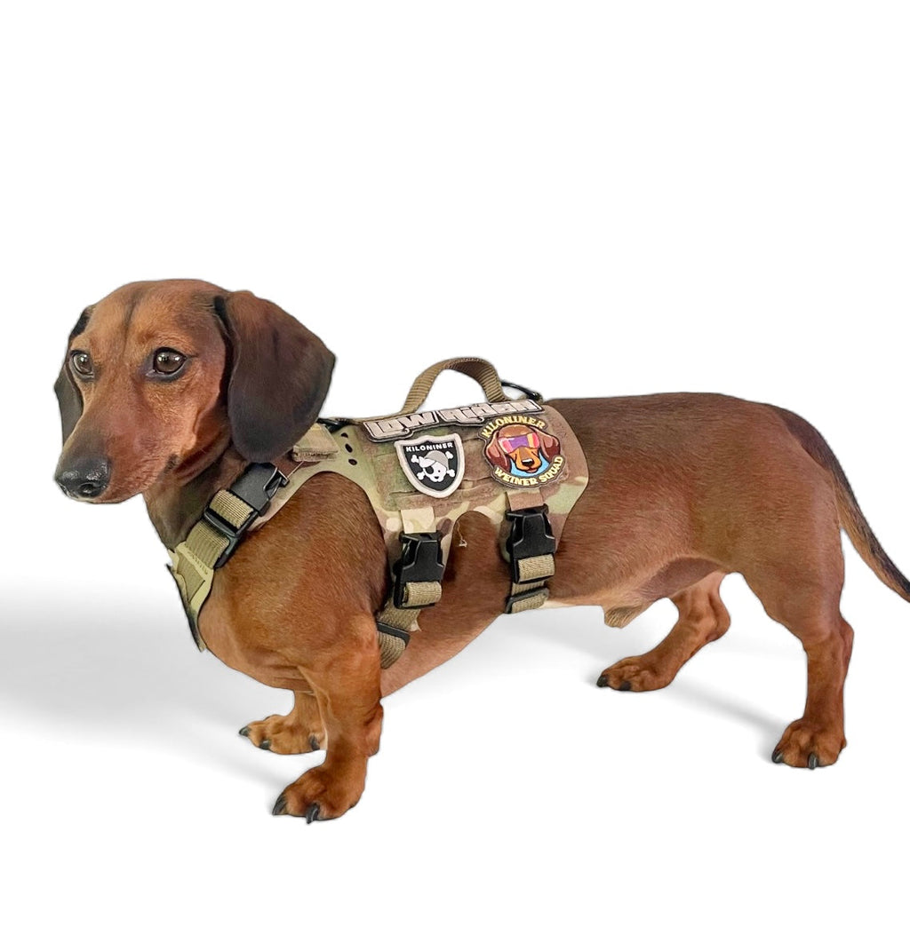 K9R M5 MOLLE Tactical Light Vest for Dogs