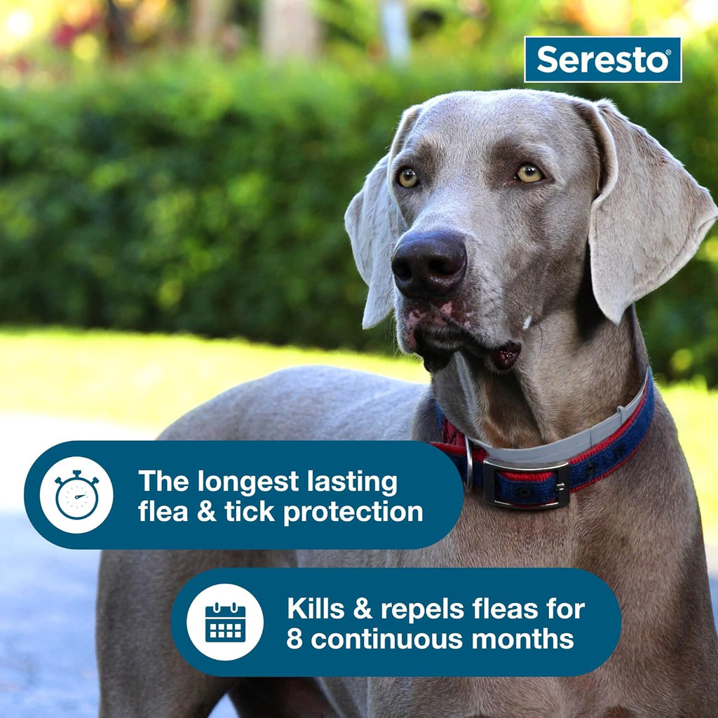 Seresto Flea & Tick Collar for Dogs — 8-Month Protection - MJ Trends
