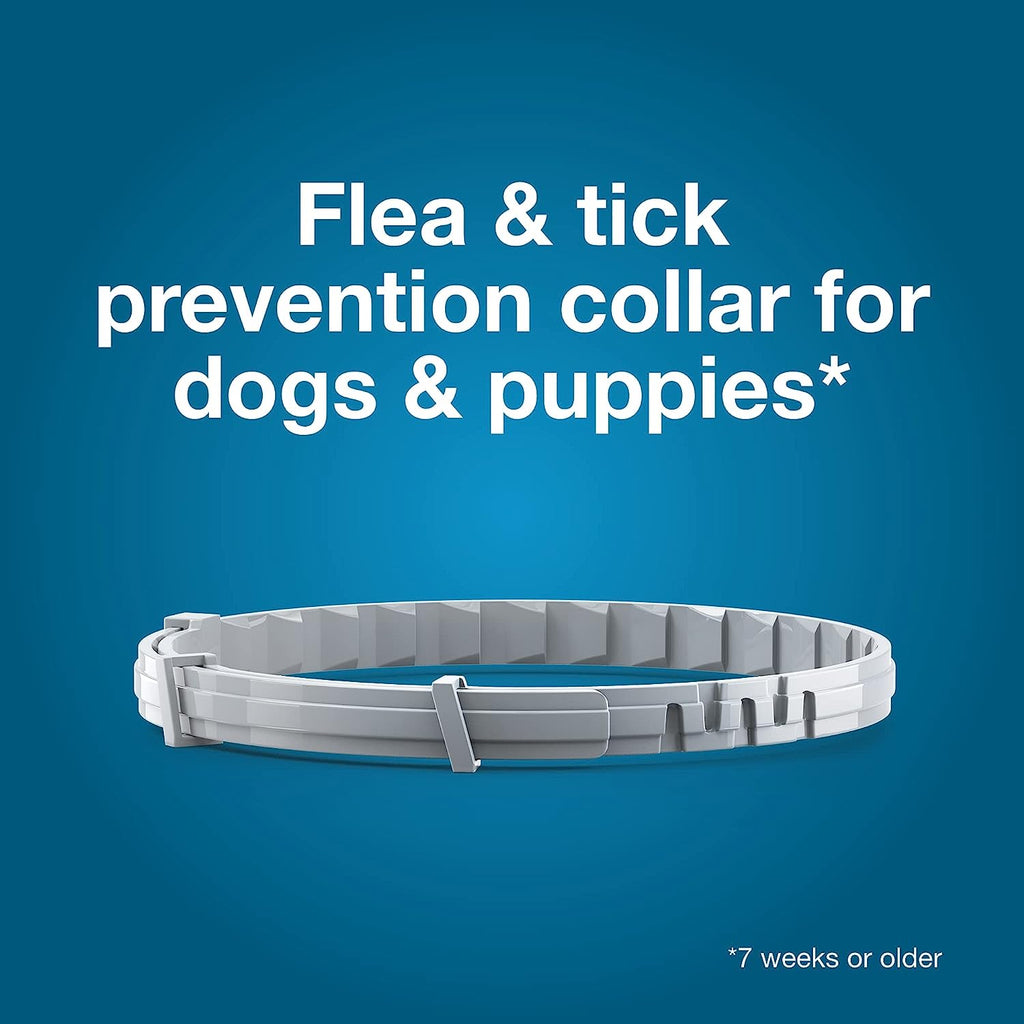 Seresto Flea & Tick Collar for Dogs — 8-Month Protection - MJ Trends