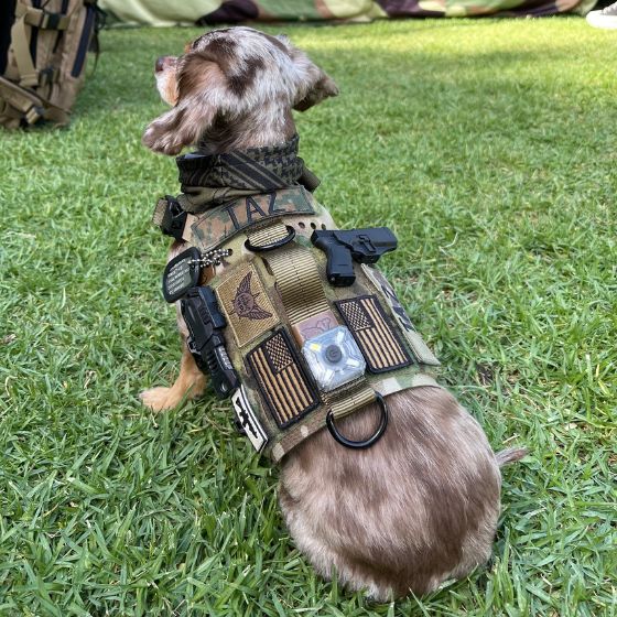 K9R M5 MOLLE Tactical Light Vest for Dogs