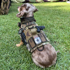 K9R M5 MOLLE Tactical Light Vest for Dogs