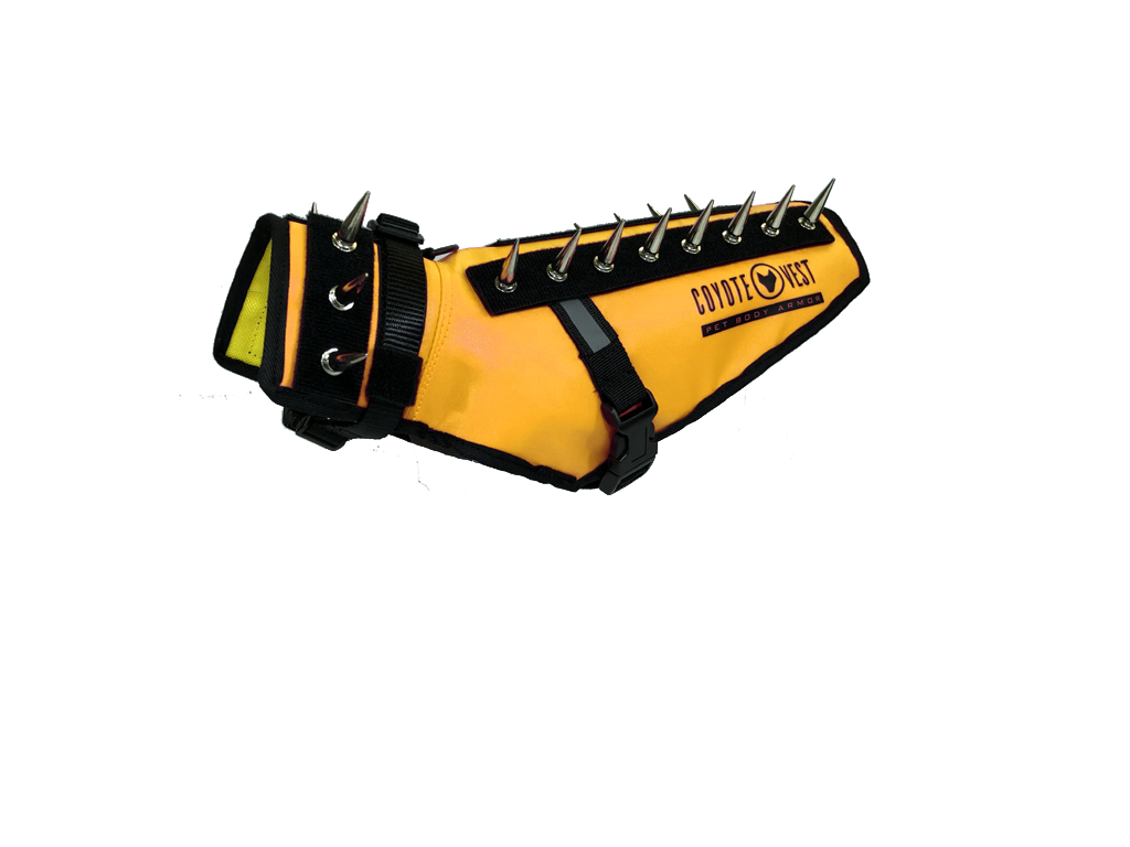 CoyoteVest – Protective Safety Vest for Small Dogs
